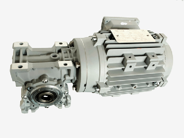 RV蝸輪減速機帶電機